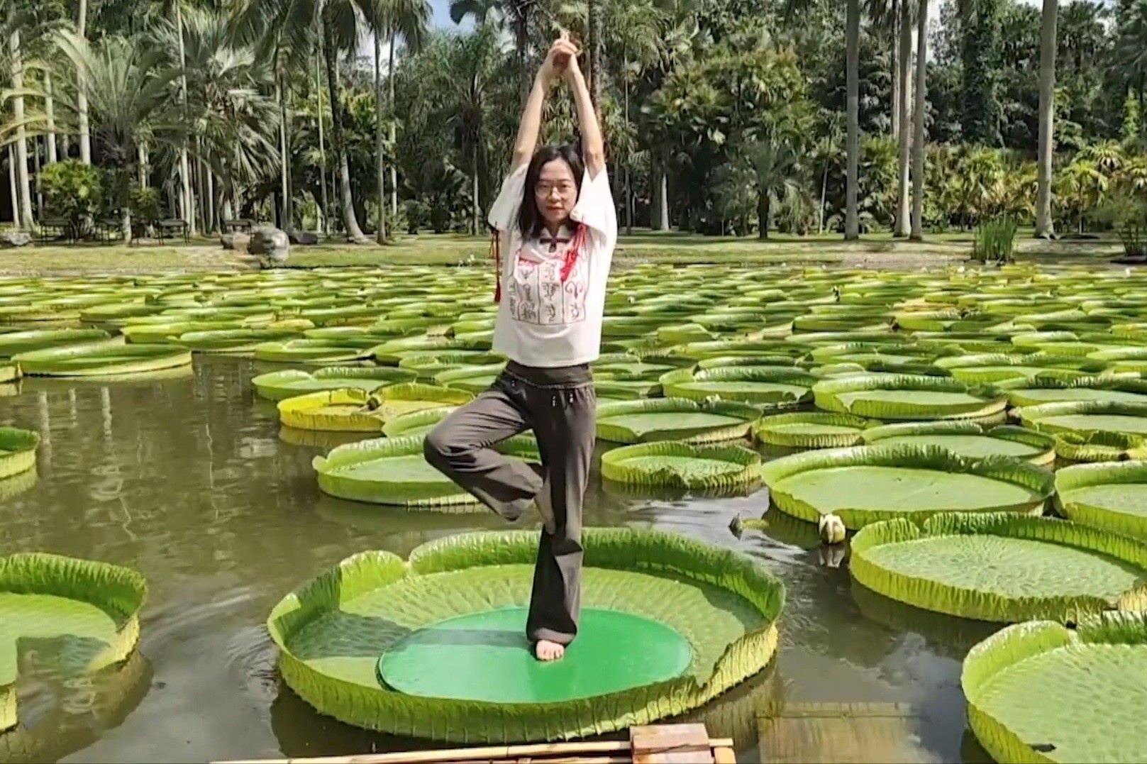 Tap yoga tren la cay hoa sung lon nhat the gioi hinh anh