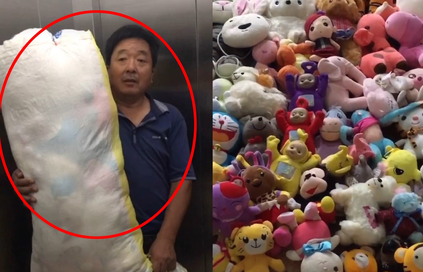 Ong mang tui day gau bong tu que len thanh pho tang chau gai hinh anh