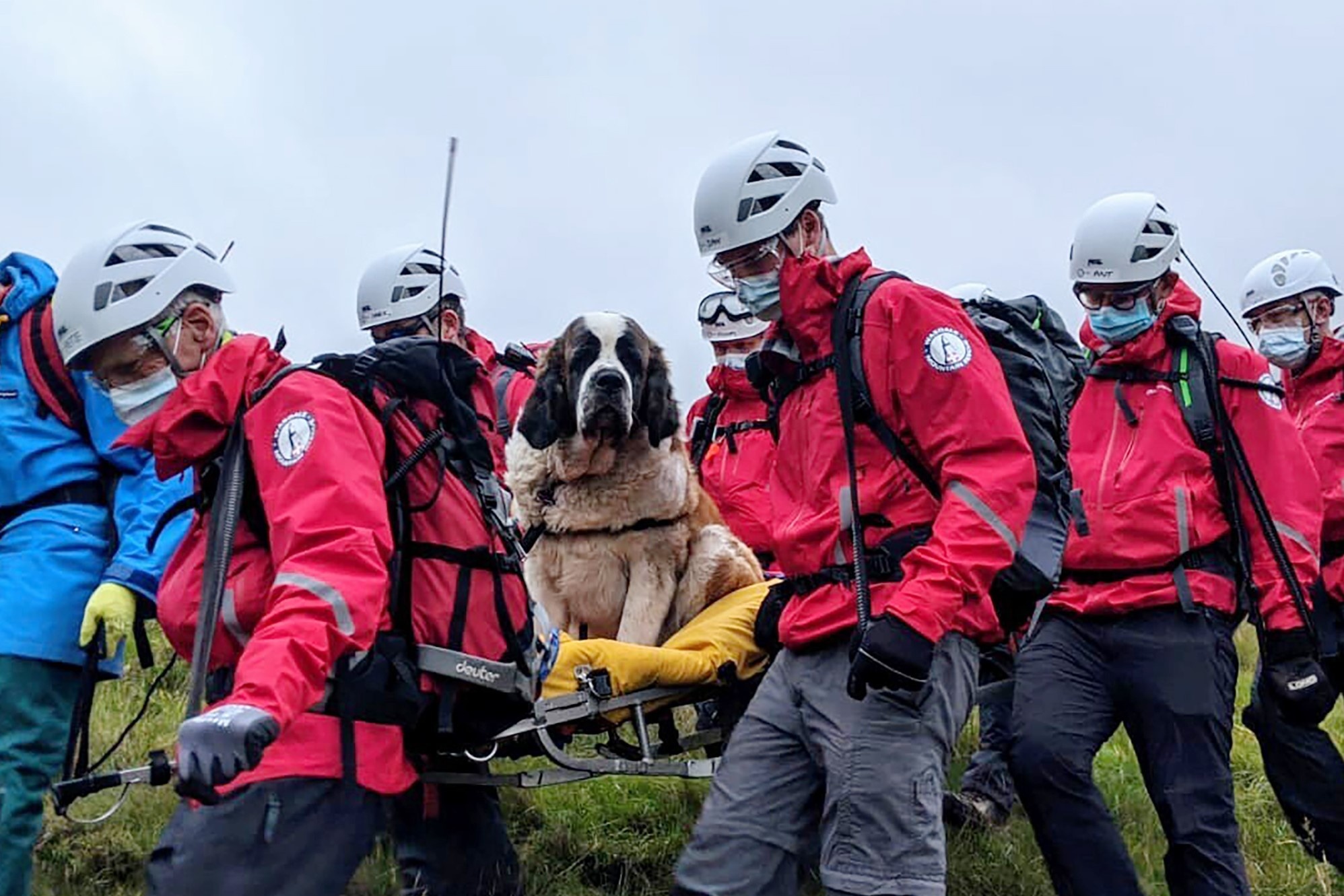 Giai cuu giong cho cuu ho khong lo tren ngon nui cao nhat nuoc Anh hinh anh