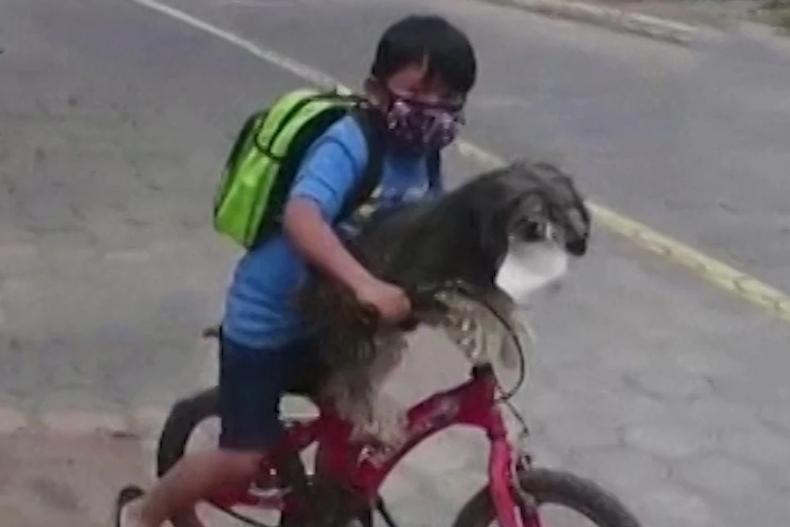 Cau be deo khau trang cho cho de di mua sua hinh anh