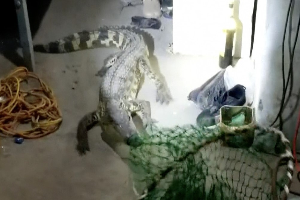 Ca sau so thu tron vao ky tuc xa o Trung Quoc hinh anh