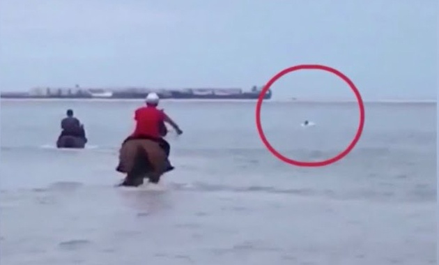 Ba nguoi cuoi ngua lao ra bien cuu cau be bi duoi nuoc o TQ hinh anh