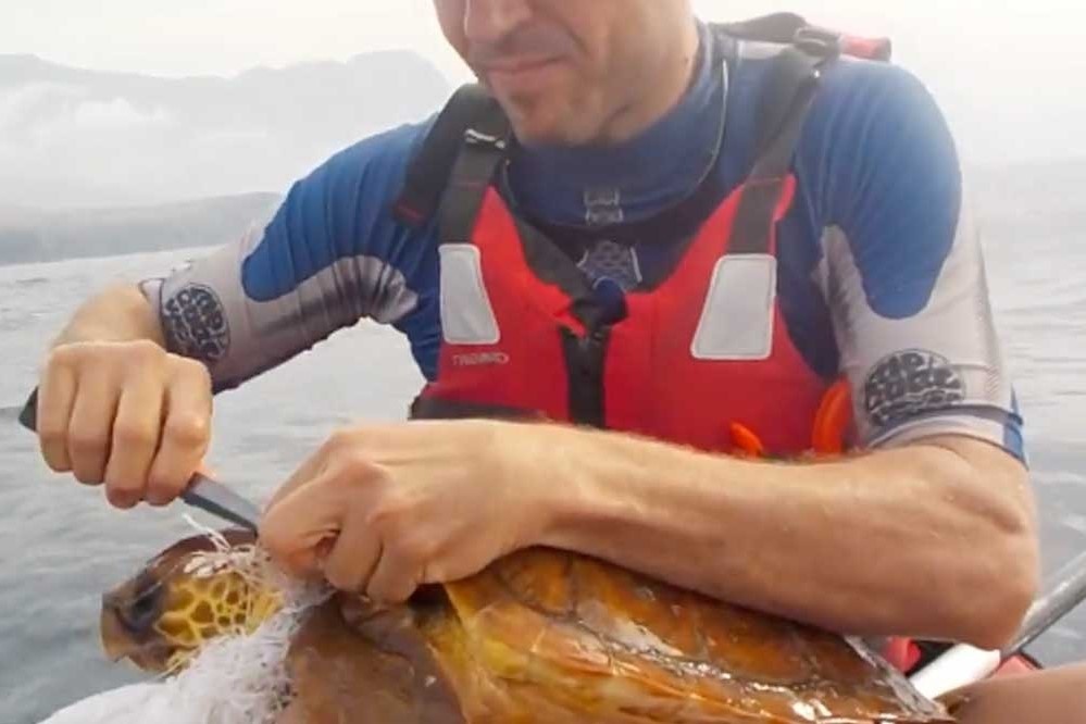 Giai cuu rua bien bi luoi danh ca xiet quanh co hinh anh