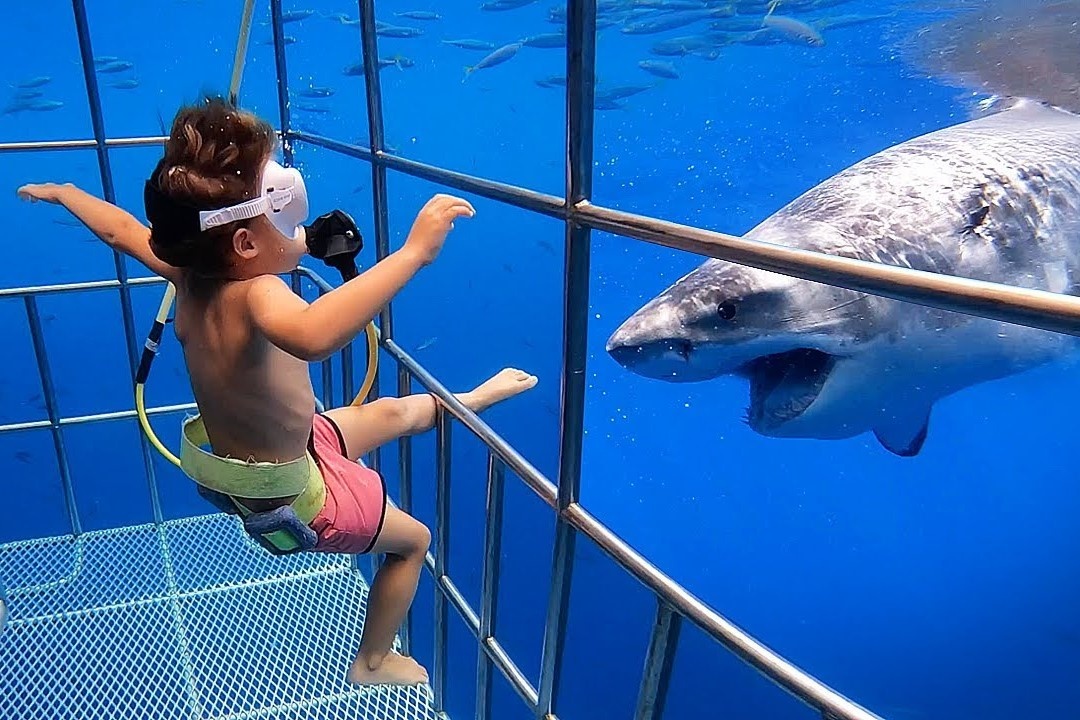 Be 5 tuoi duoc cha me cho di lan cung ca map trang o Mexico hinh anh