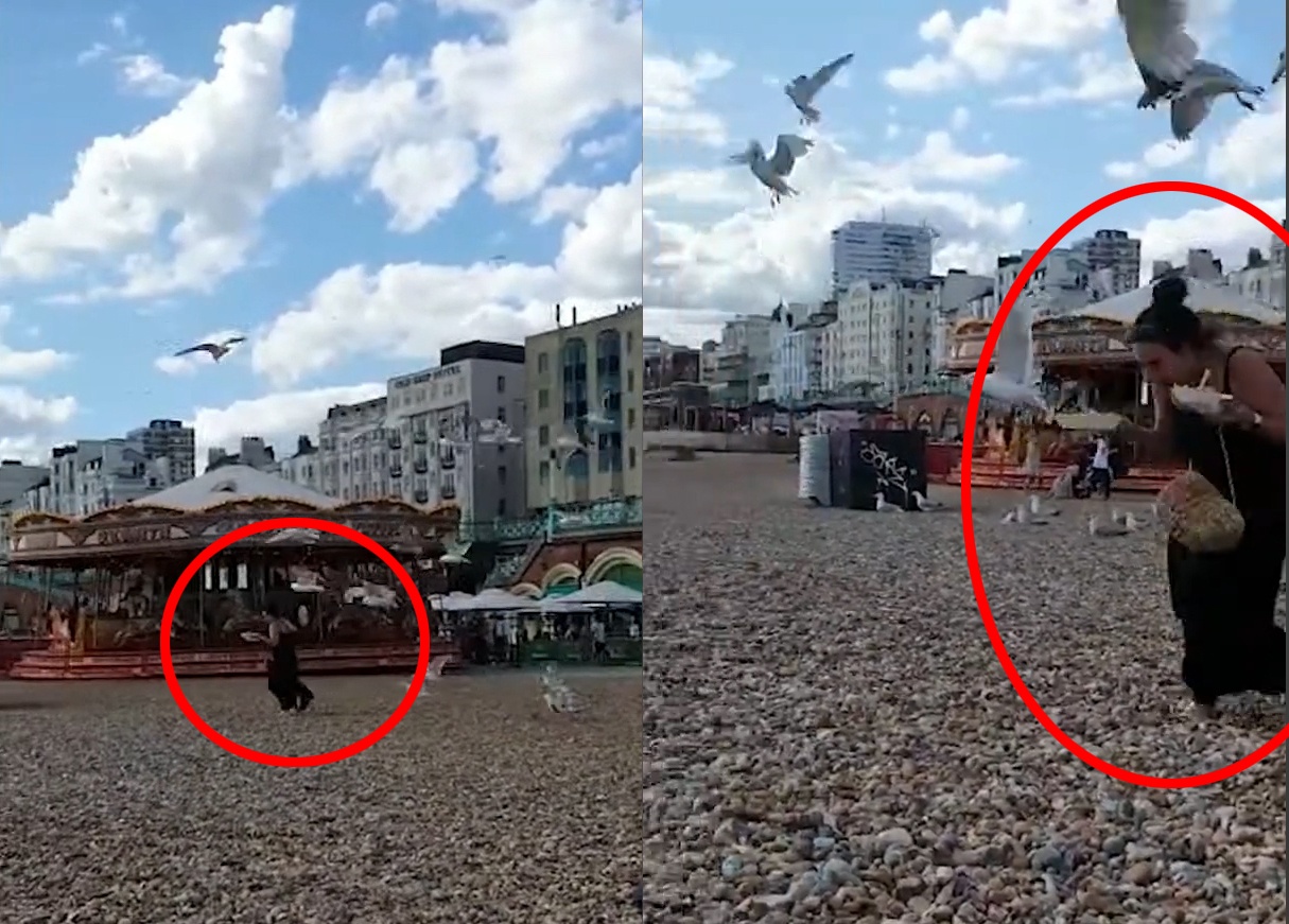 Du khach bi hai au lao vao lay do an o bai bien hinh anh