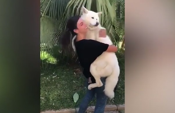 Nhung chu cho doan tu chu sau vu no kinh hoang o Beirut hinh anh