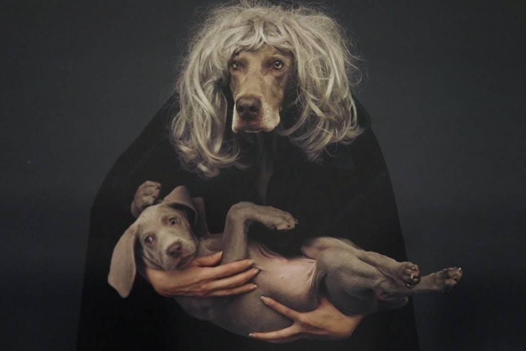 Nhiep anh gia 45 nam chup hinh cho hinh anh