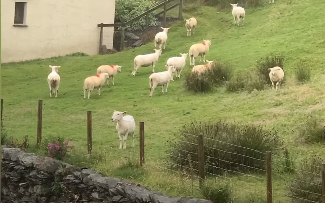 Hang tram con cuu dung bat dong nhu bi thoi mien o Anh hinh anh