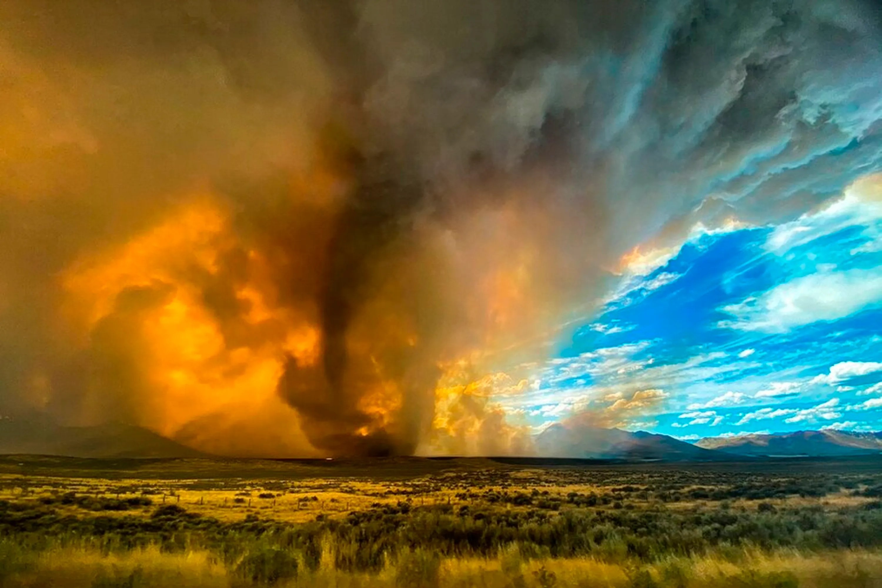 Voi rong lua xuat hien giua dam chay rung o California hinh anh