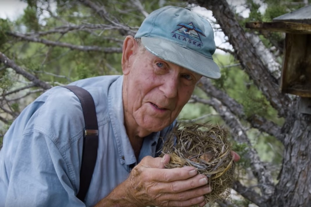 Cu ong 97 tuoi xay to cho hon 40.000 con chim hinh anh