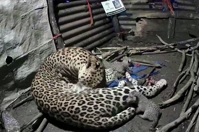 Bao len vao nha dan de con o An Do hinh anh