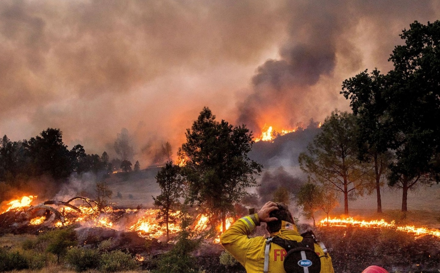 California doi mat so luong dam chay nhieu nhat lich su hinh anh