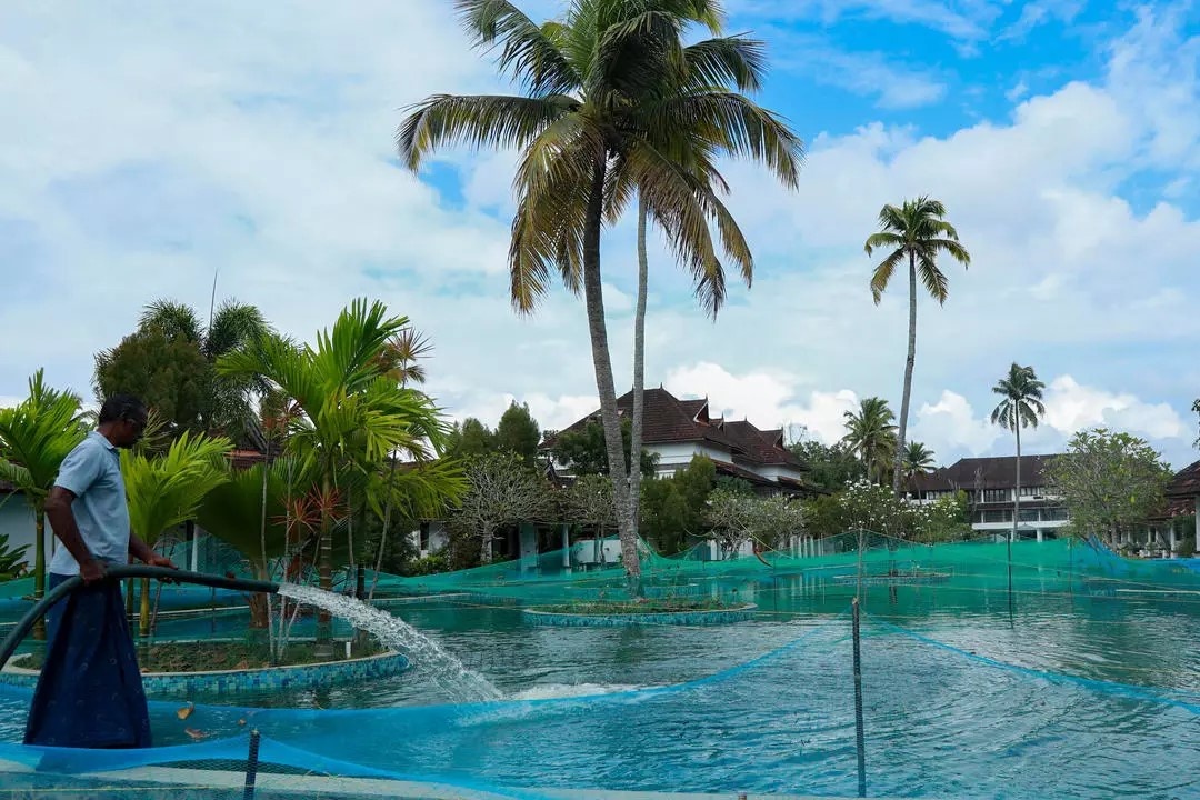 Ho boi cua resort tai An Do thanh noi nuoi ca hinh anh