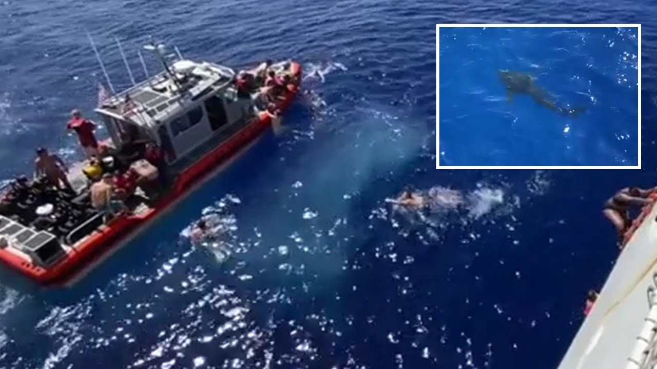 Tuan duyen My ban ca map, giai cuu gan 40 nguoi dang boi hinh anh