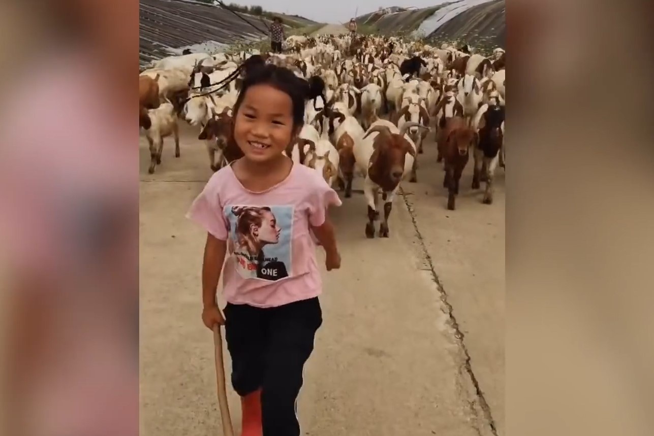 Be gai Trung Quoc dan doan 300 con de hinh anh