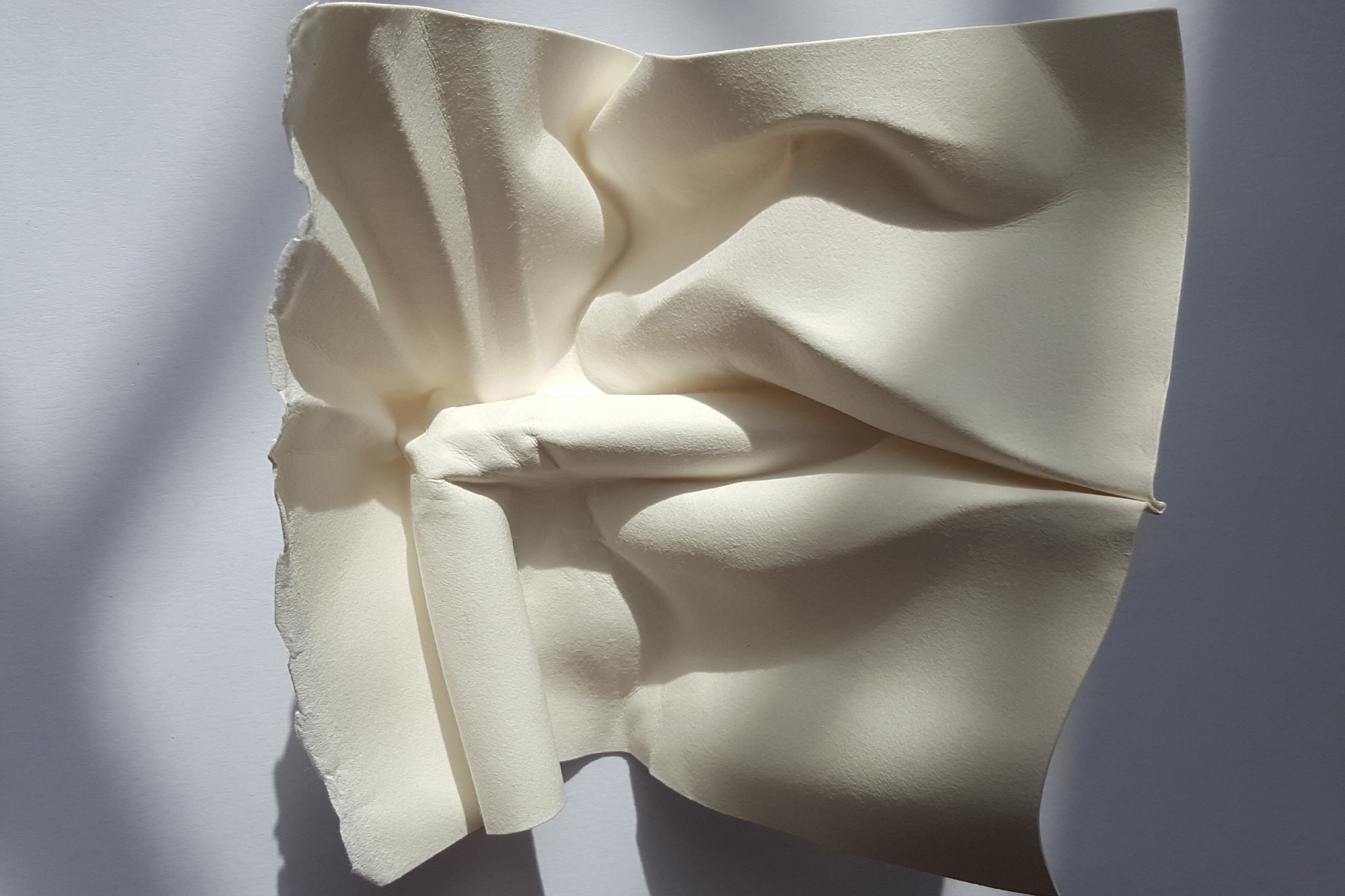 Tac pham nghe thuat 3D tu mot manh giay hinh anh