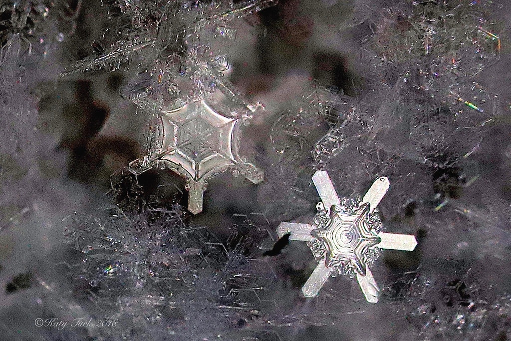 Hien tuong 'bui kim cuong' xuat hien o My hinh anh