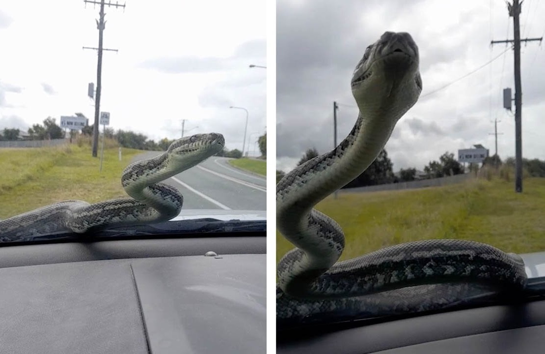 Nguoi phu nu hoang so vi tran truon tren oto hinh anh