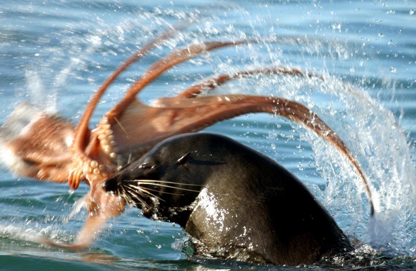 Vu khi bi mat giup hai cau san moi hinh anh