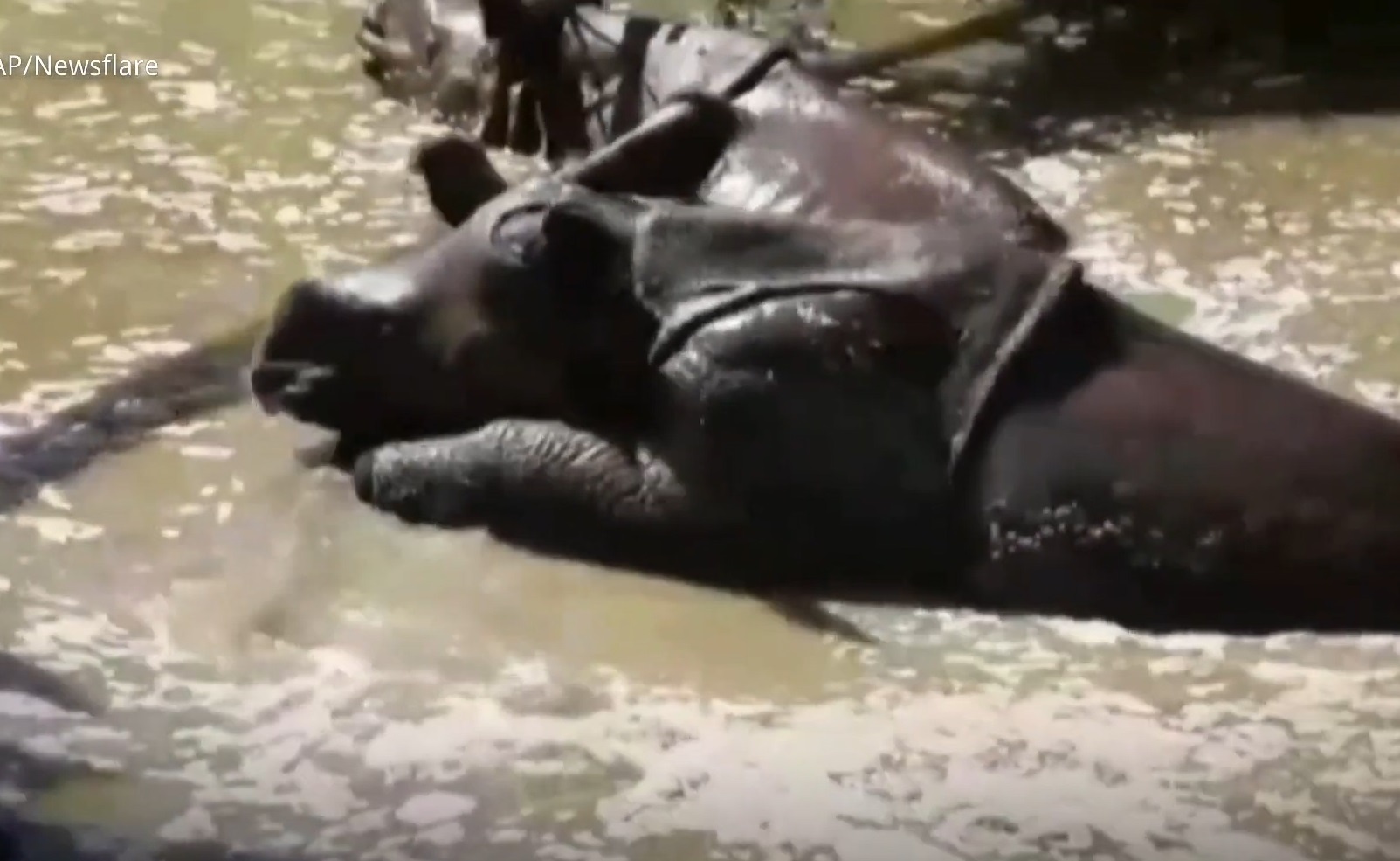 Giai cuu te giac mot sung trong mua lu lut o An Do hinh anh