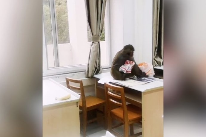 Khi dot nhap vao lop hoc hinh anh