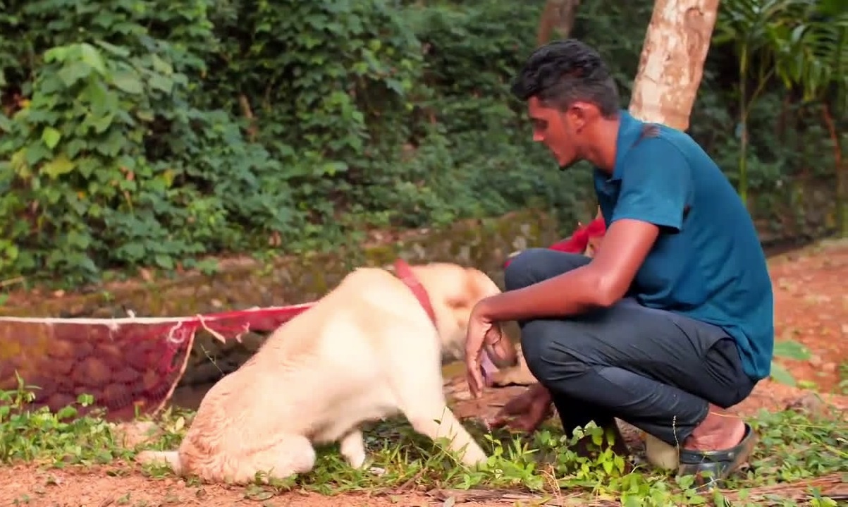 Chu cho o An Do gay an tuong vi kha nang choi bong chuyen hinh anh