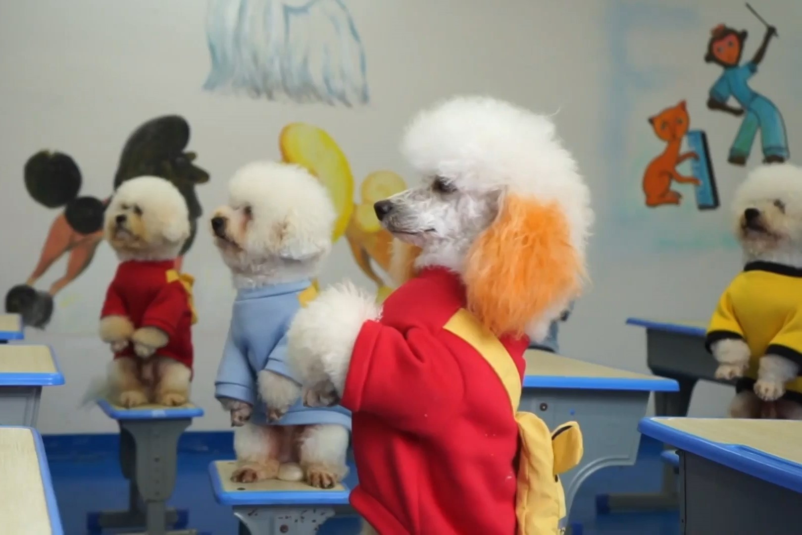 Ngoi truong day cho lam toan va nhay day hinh anh