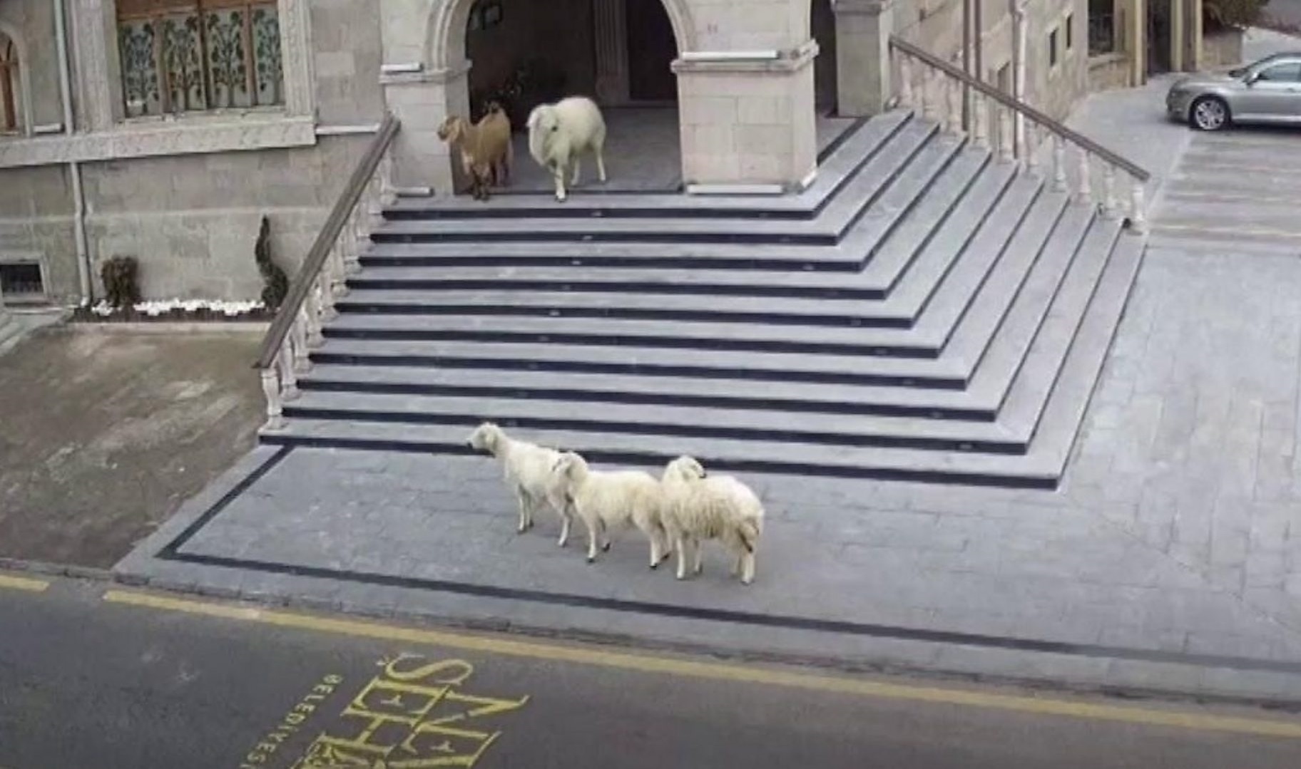 Cuu va de 'canh gac' truoc cong toa thi chinh o Tho Nhi Ky hinh anh