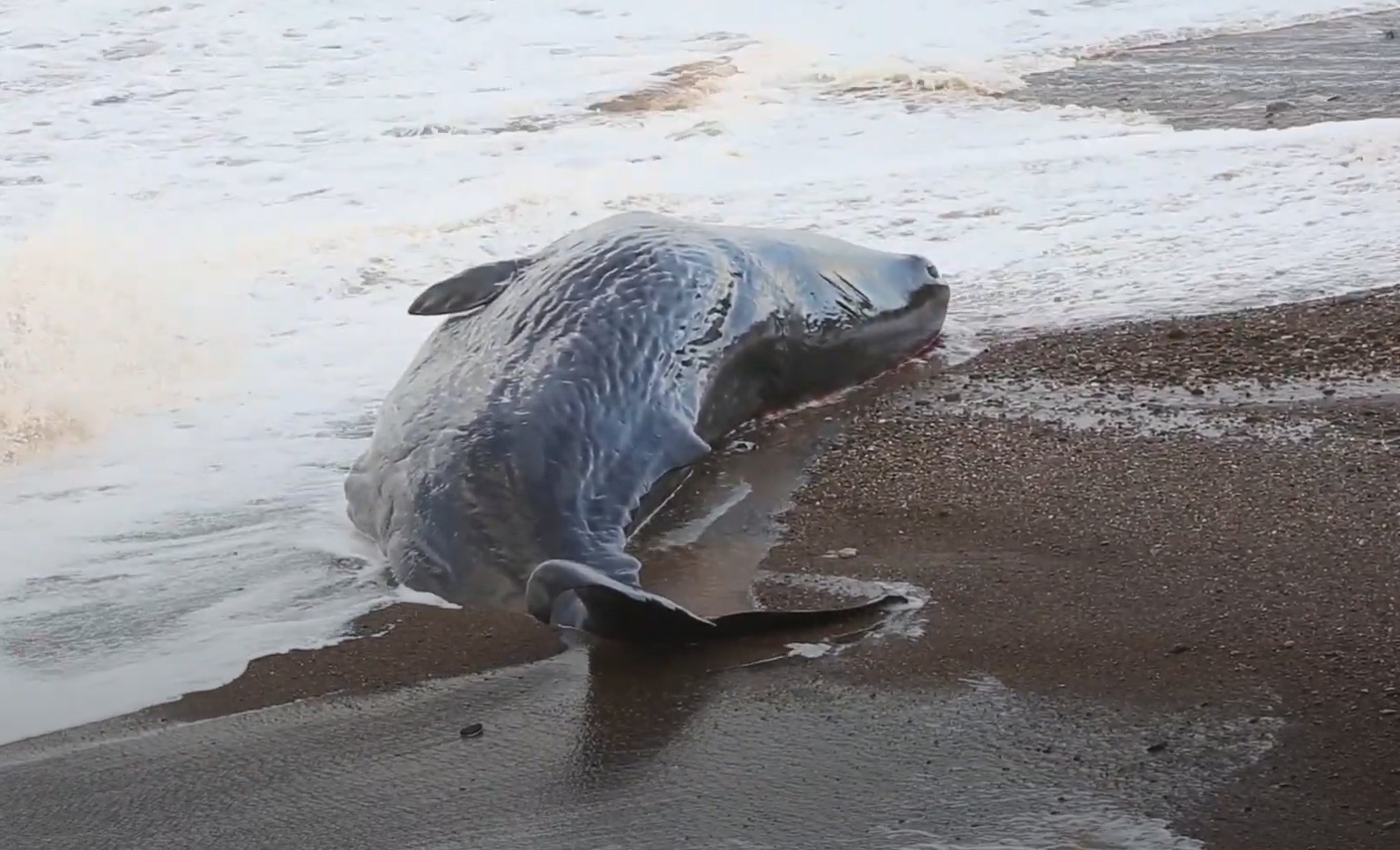 Ca nha tang mac can hang loat o Anh hinh anh