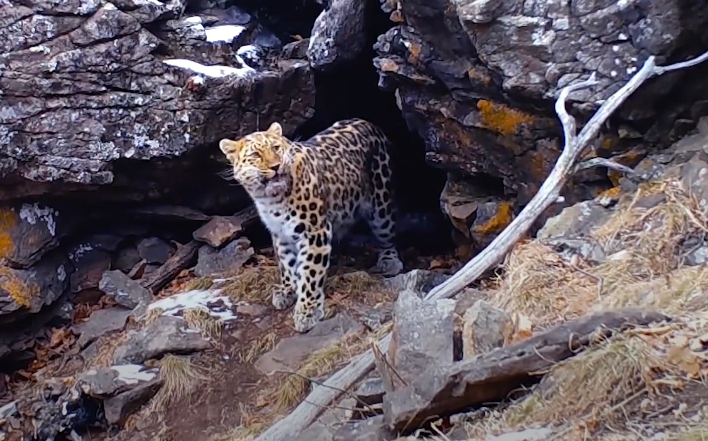 Camera quay duoc hinh anh loai bao hiem nhat the gioi hinh anh