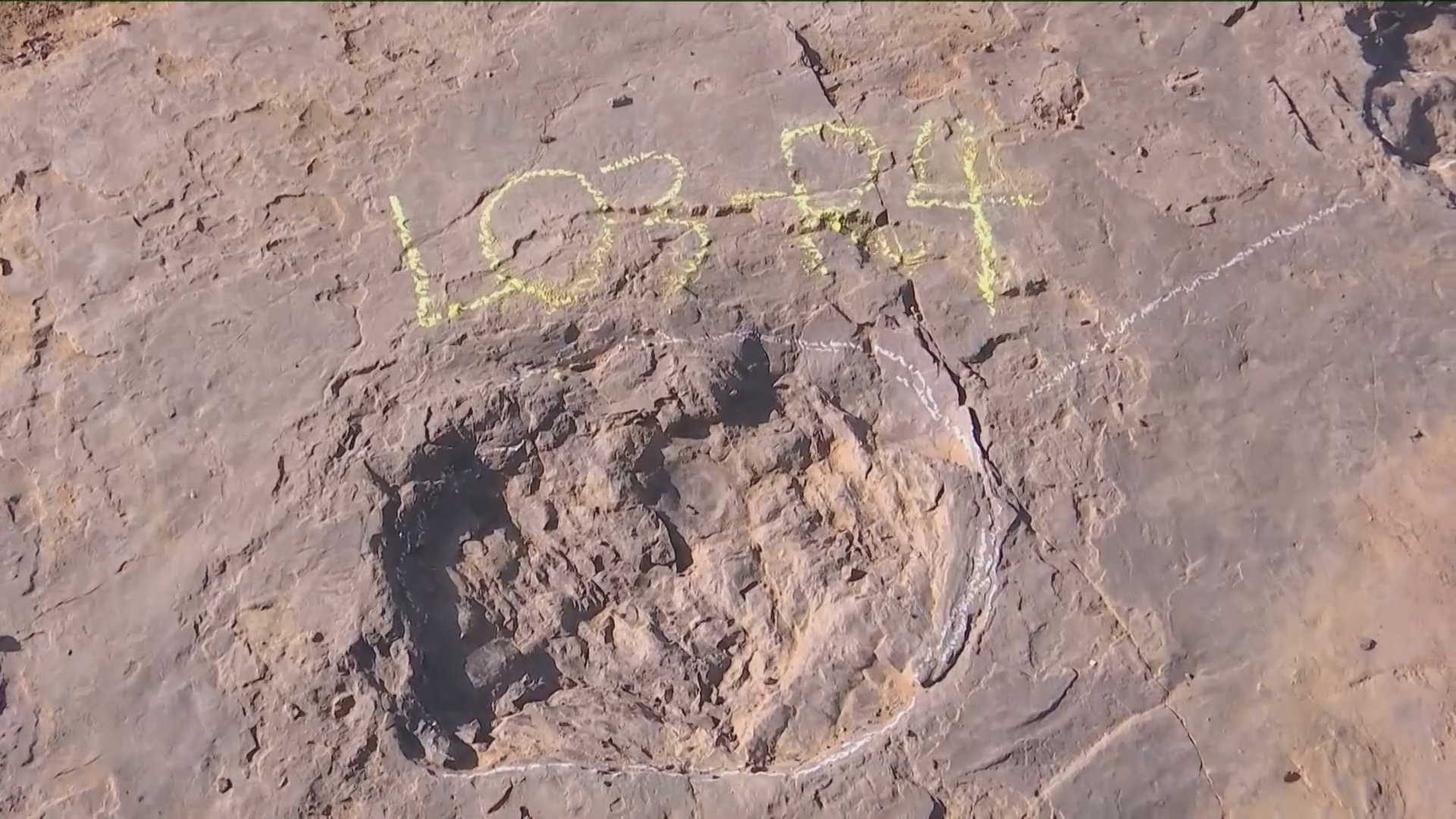 Phat hien hon 240 dau chan khung long tai Trung Quoc hinh anh