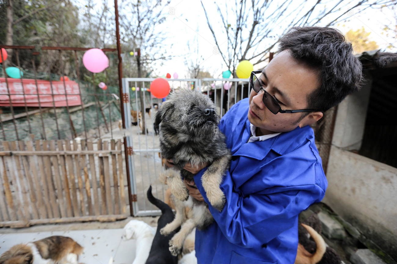 Cuu 10.000 cho, meo trong mot nam dich benh o Vu Han hinh anh