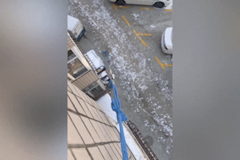 Tha day tu tang 4 de cho cho di dao o Trung Quoc hinh anh