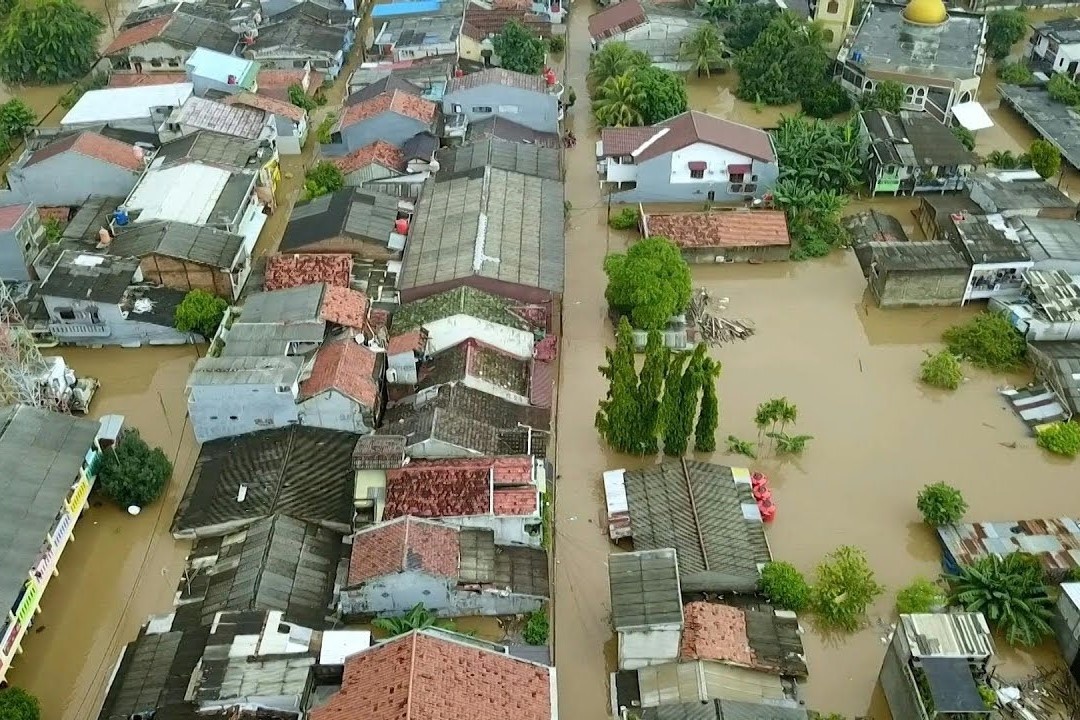 Mua lu nhan chim nha cua o Jakarta hinh anh