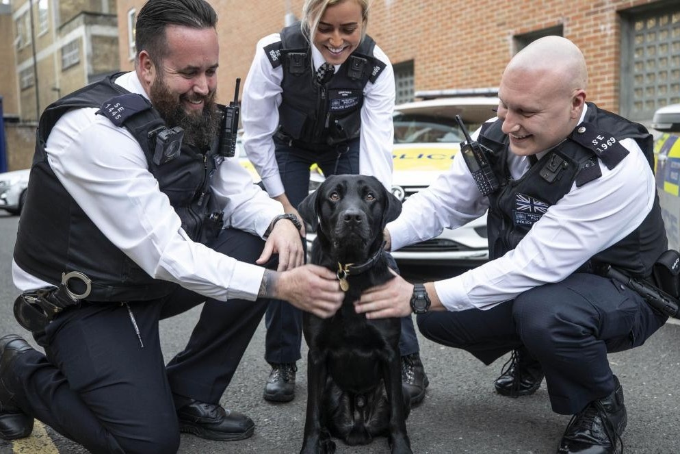 Chu cho nghiep vu danh hoi te nhat the gioi hinh anh