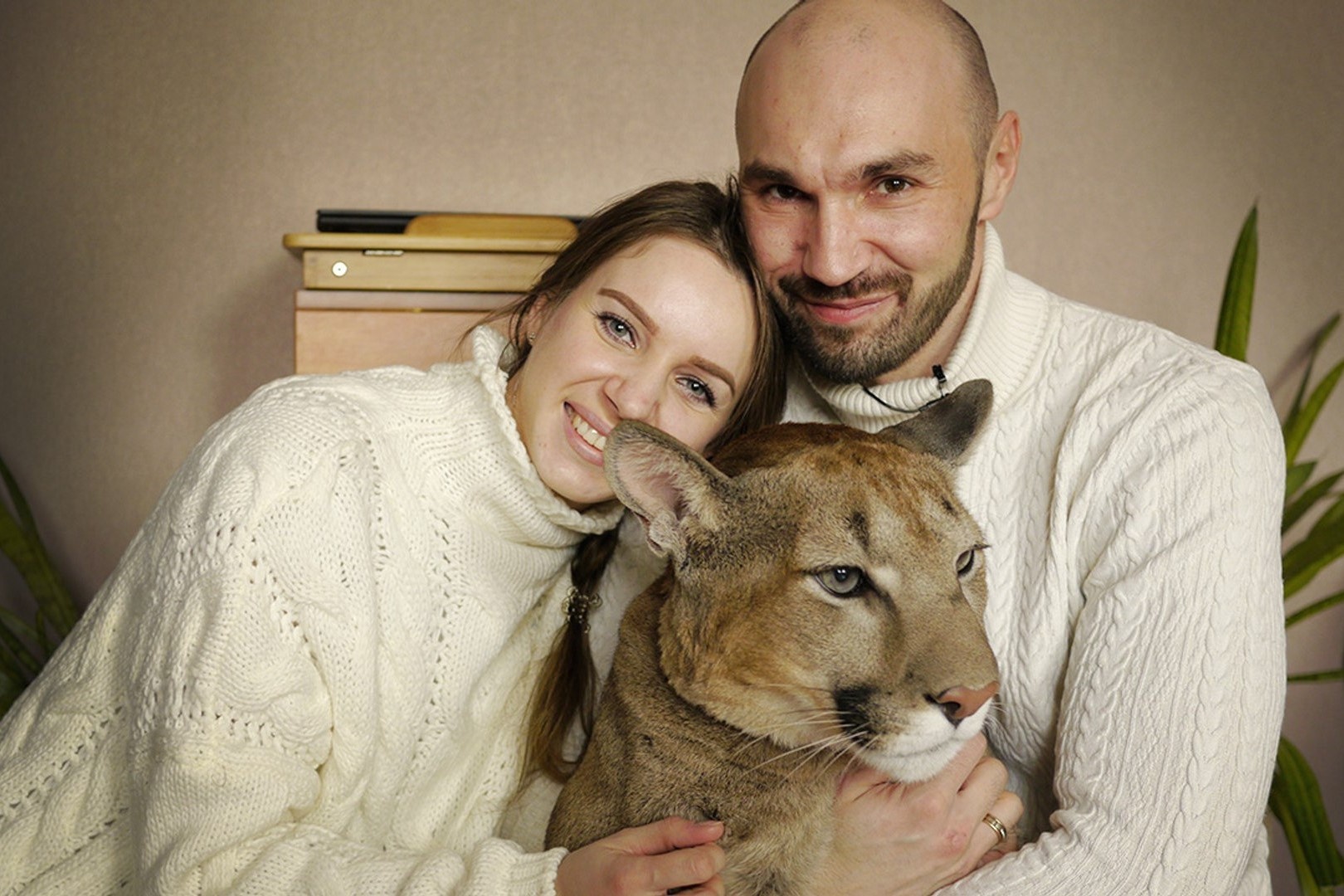 Vo chong nguoi Nga nuoi bao su tu lam thu cung hinh anh