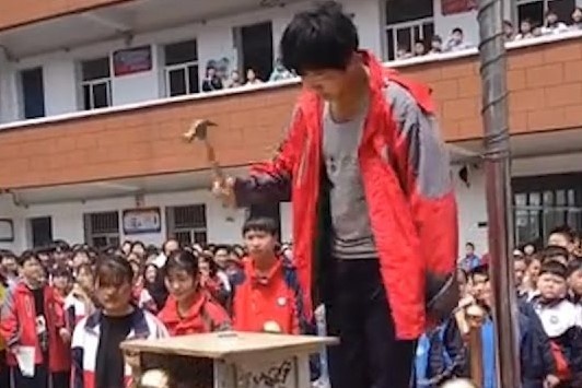 Truong hoc o Trung Quoc bat hoc sinh dap dien thoai de 'cai nghien' hinh anh