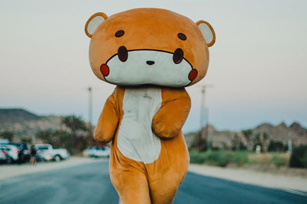 Nguoi dan ong My di bo hon 640 km trong trang phuc gau hinh anh