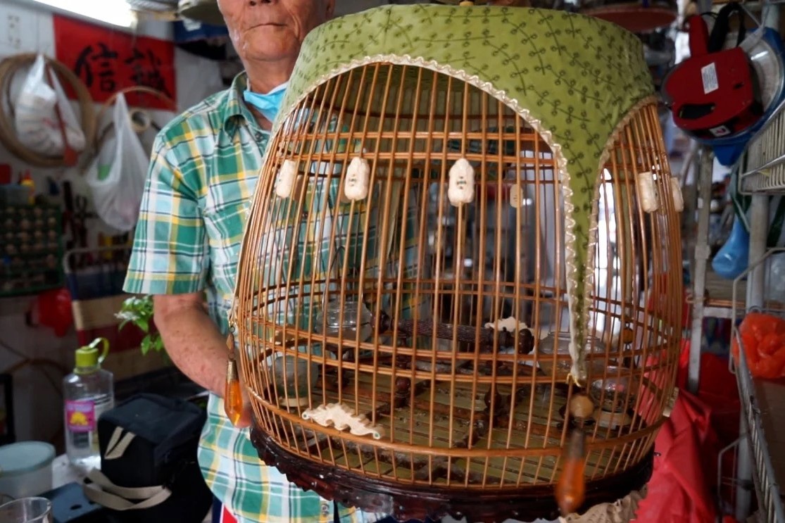 Long chim nghin USD o Singapore hinh anh