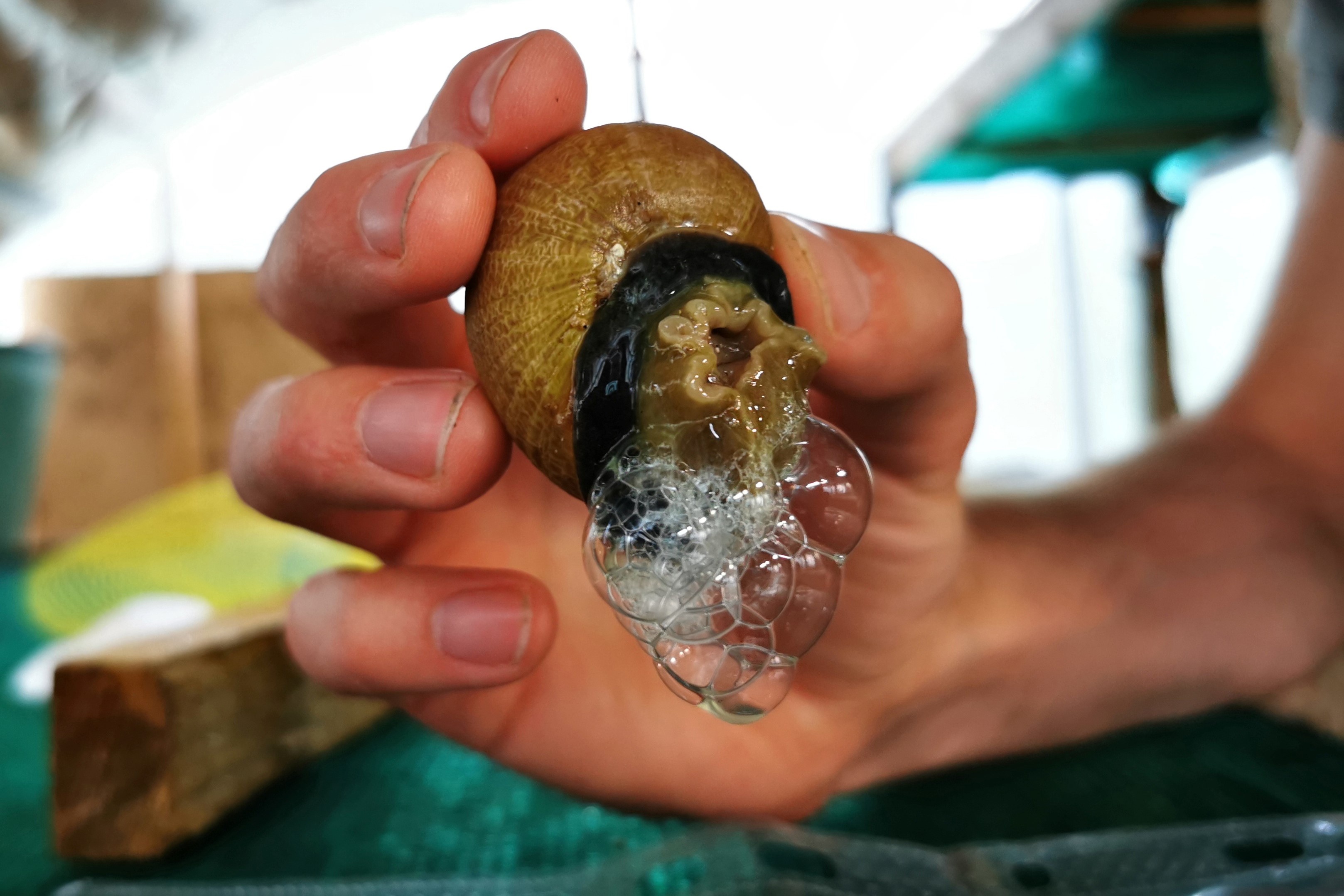 Chang trai lam xa phong tu dich nhay oc sen hinh anh