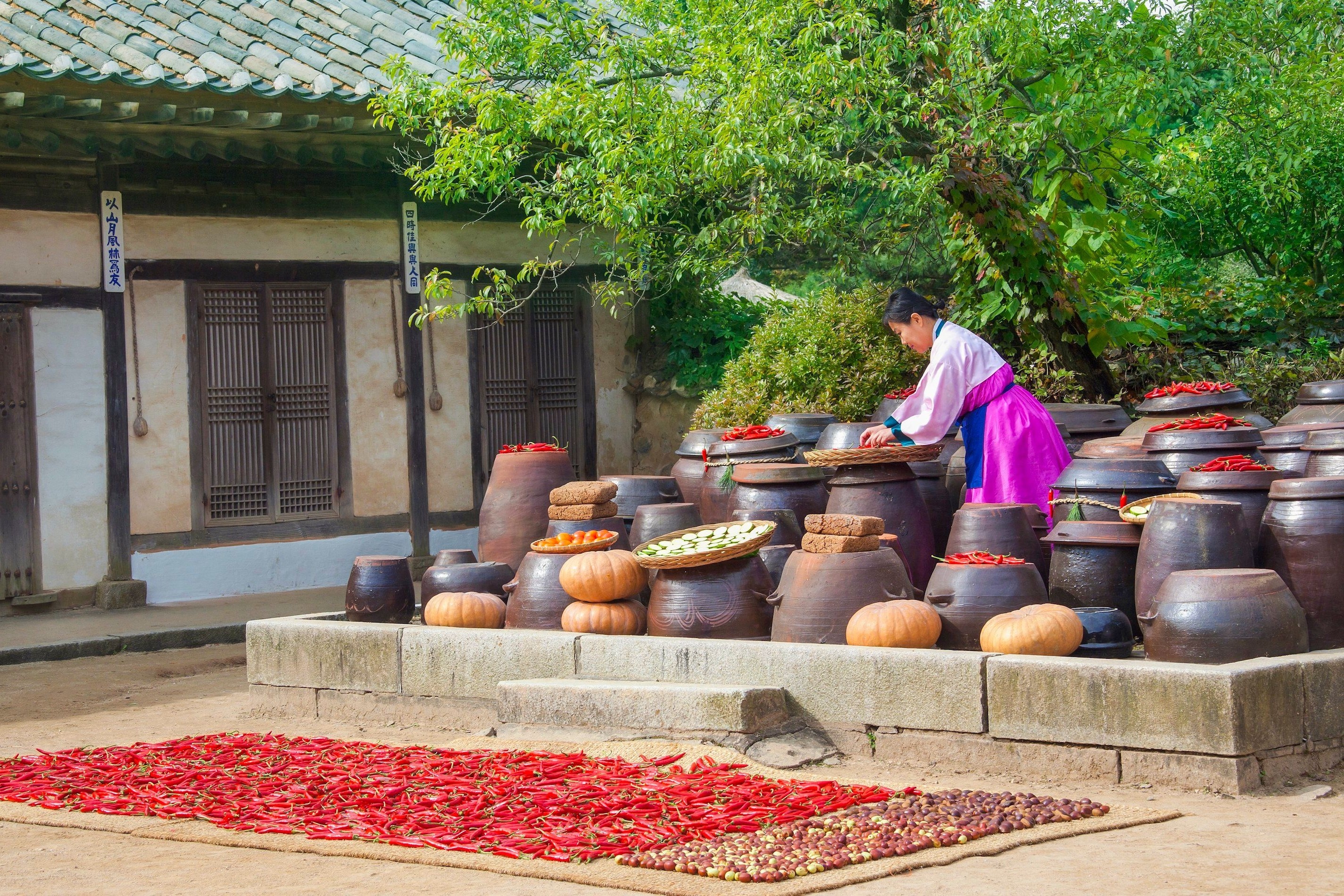 Gia dinh Han Quoc roi Seoul ve nong thon hinh anh