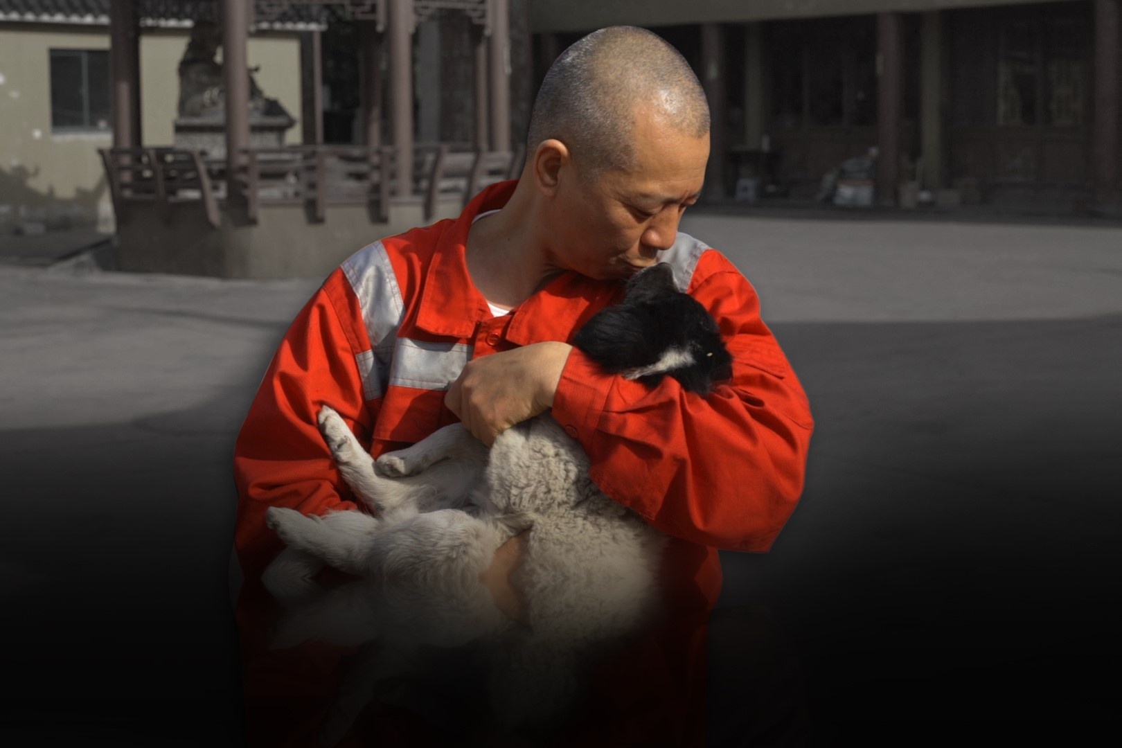 Nha su cuu mang hon 8.000 con cho suot 27 nam hinh anh