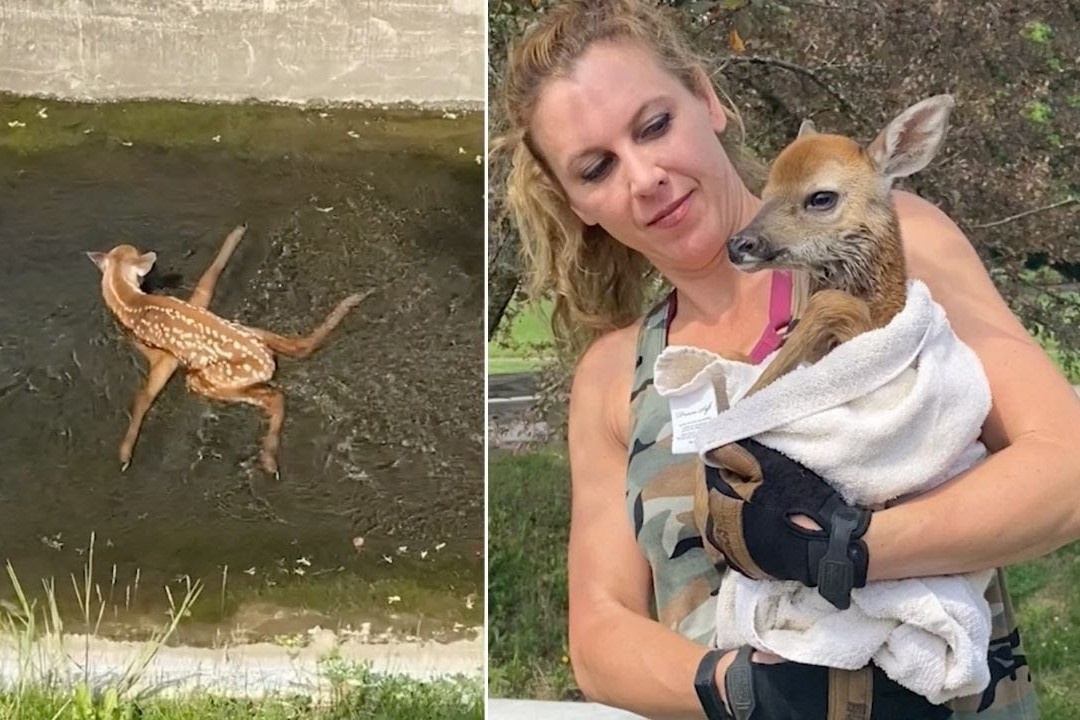 Nguoi phu nu My cuu huou duoi cong thoat nuoc hinh anh