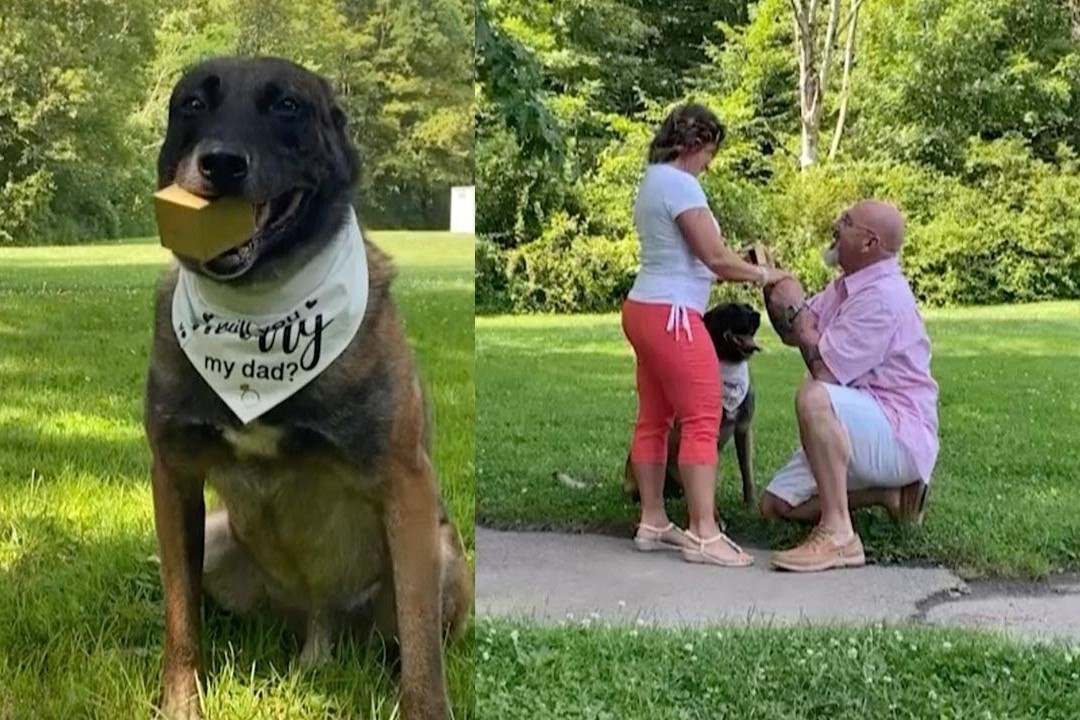 Nguoi dan ong My nho cho cung mang nhan cau hon hinh anh