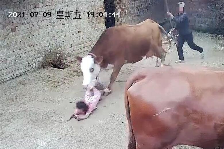 Be gai bi bo tan cong bat ngo o Trung Quoc hinh anh