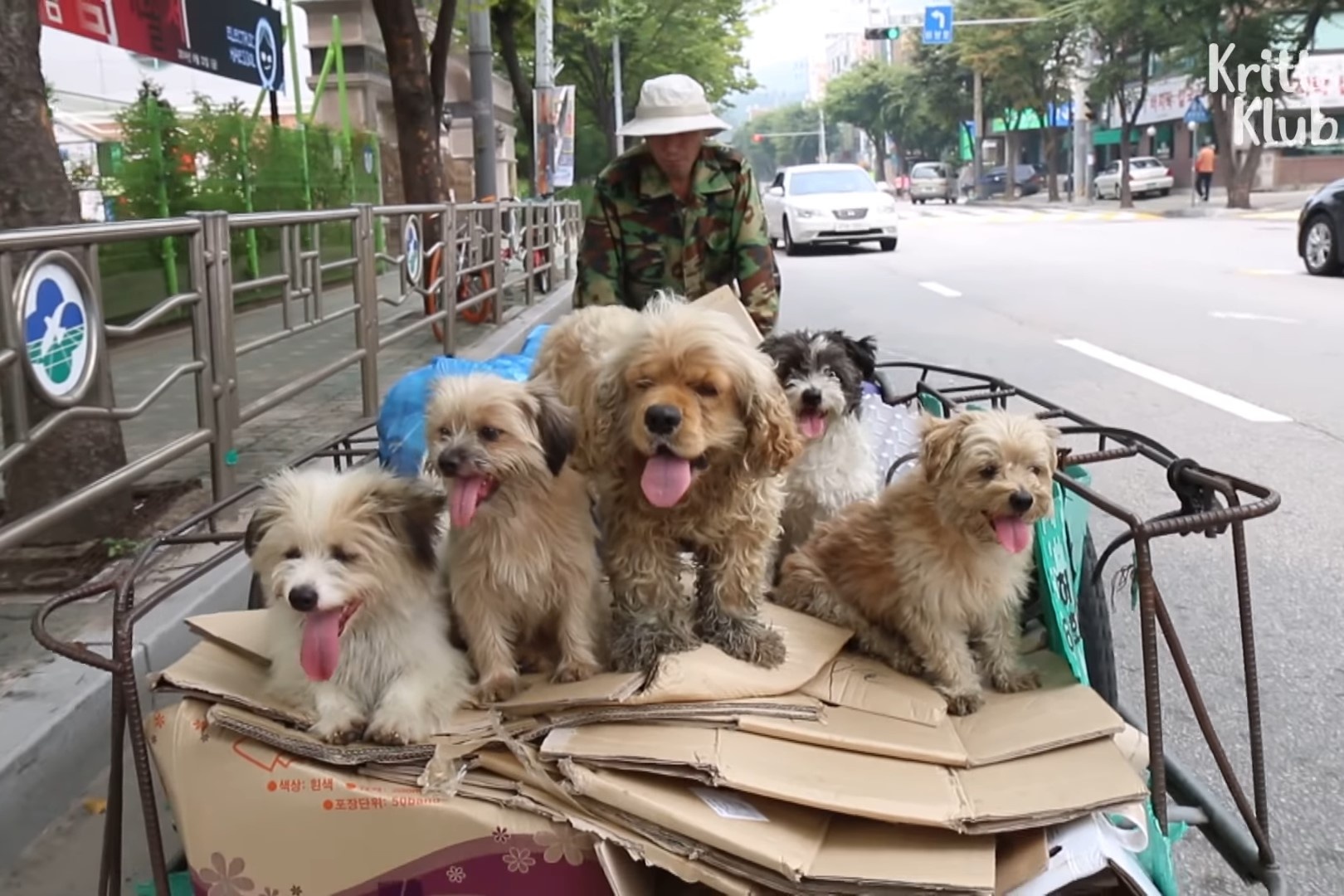 Doi quan cho nhat giay vun o Han hinh anh