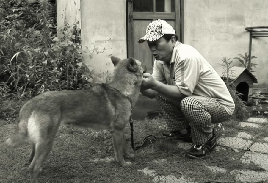 Khong biet chu nhan qua doi, chu cho van doi trong can nha trong hinh anh