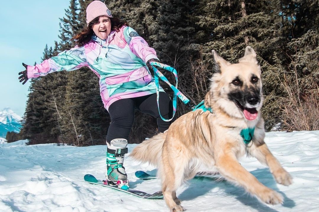 Chu cho Husky dam me truot tuyet cung chu hinh anh