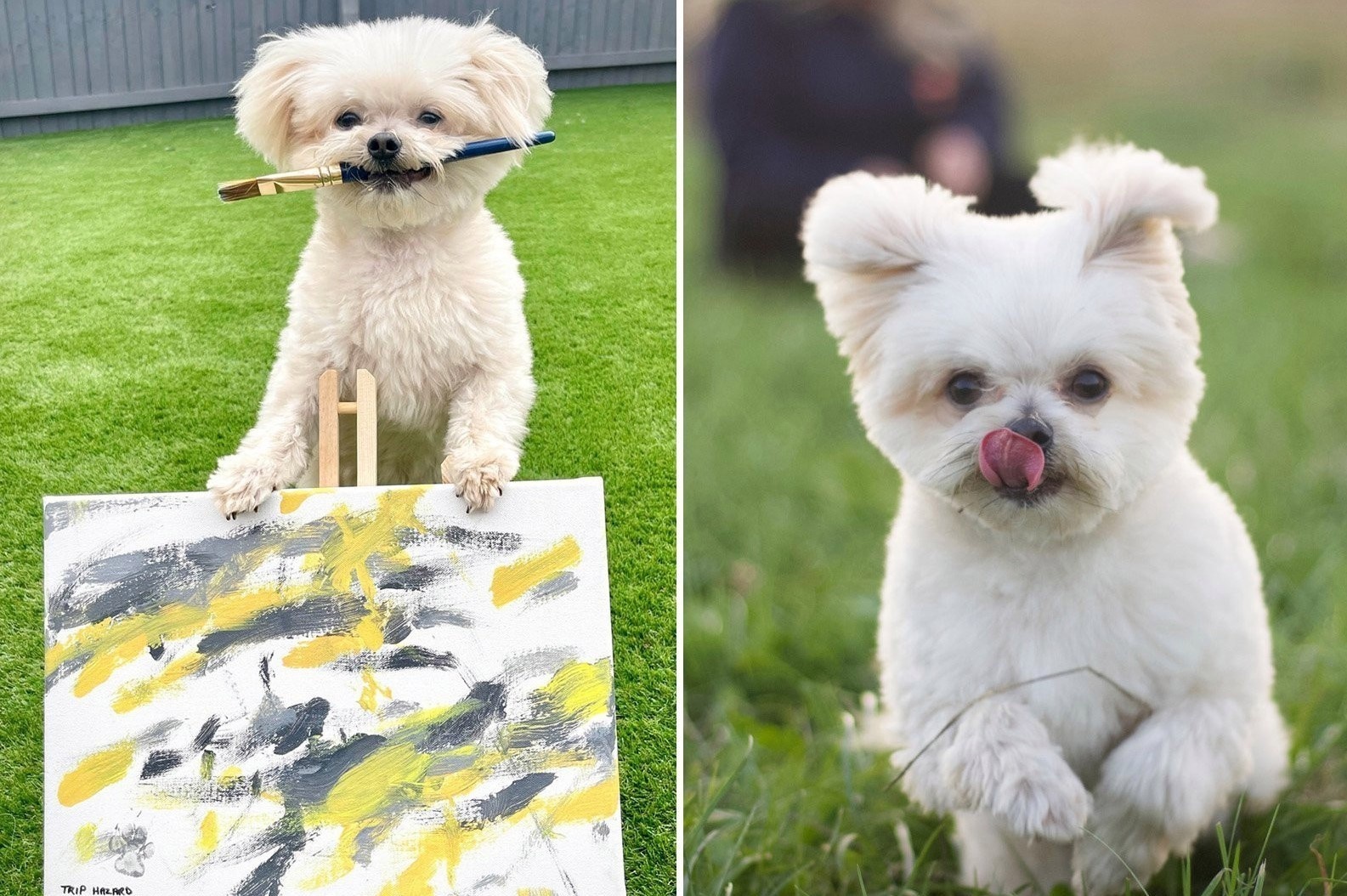 Buc tranh duoc dinh gia gan 7.000 USD duoc ve boi mot chu cho hinh anh