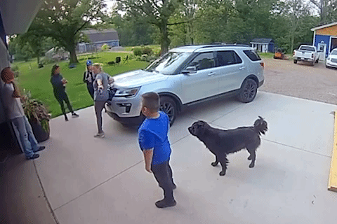 Ong bo vo tinh nem trai bong ro vao mat con trai hinh anh